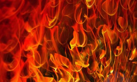 Fire Born
